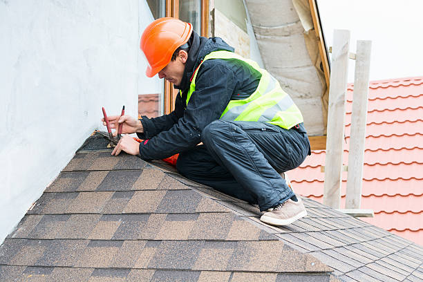 Best Gutter Installation and Roofing  in Lodi, WI